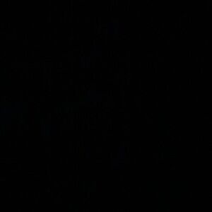 Meet your Posher, Lana